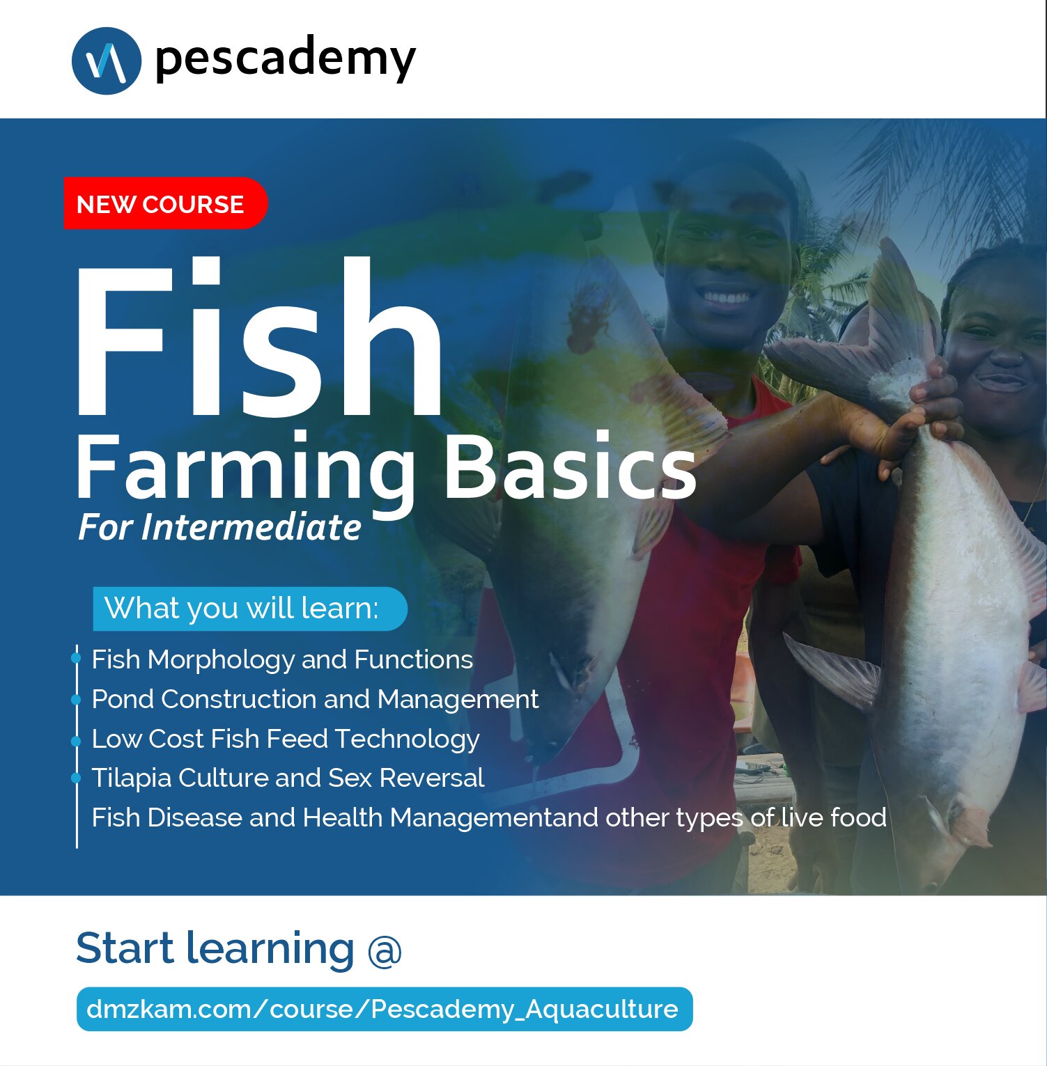 Enroll for a course today